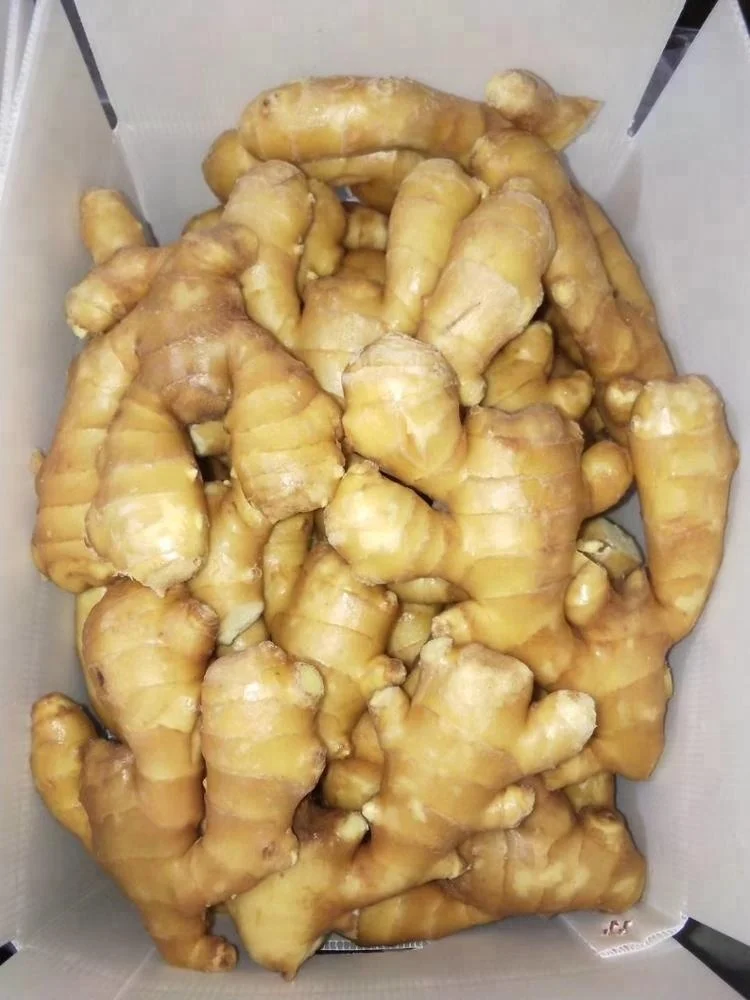 
Chinese Organic Fresh Ginger Price 