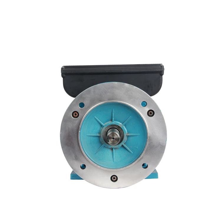 
High Quality YL Series 100% Copper Wire Single Phase AC Asynchronous Motor 
