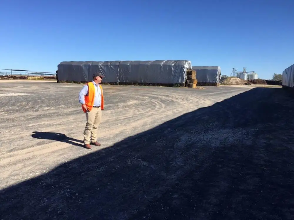 pvc  tarps heavy duty hay tarp  to cover