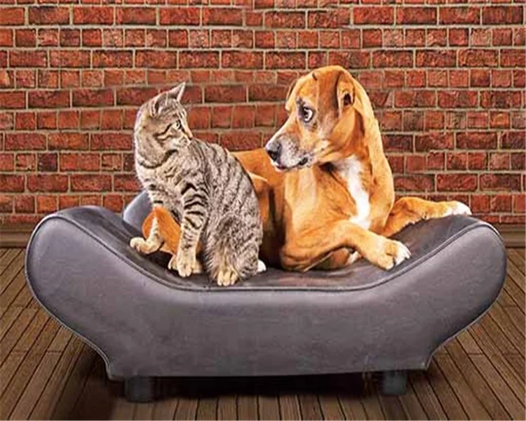 
Dinosaur hologram picture 3D picture of anmals for promotion 