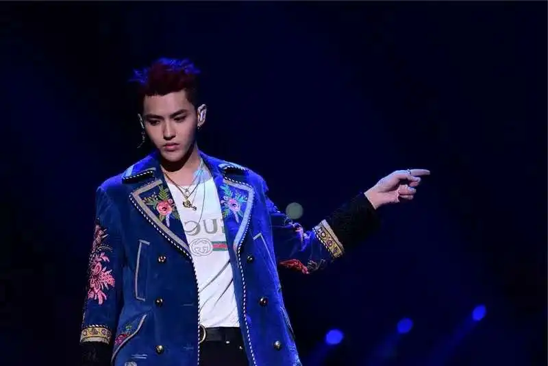 Wu Yifan Новогодняя концертная индивидуальная одежда для выступлений в стиле Звезд длинное пальто с вышивкой в Корейском стиле