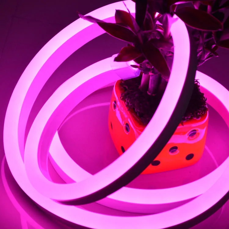 neon flexible led light china supplier led flex led neon