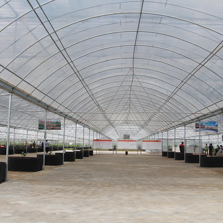 
China Supply Grape Greenhouse With Grape Trellising System To Malaysia 