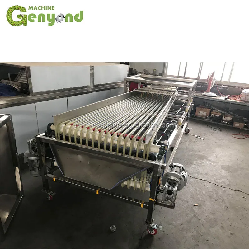 Пользовательская свежая сортировочная машина medjool для даток сортировки овощей и фруктов