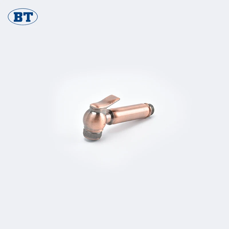 BT7003 bathroom accessories portable shower bidet hand sprayer shattaf