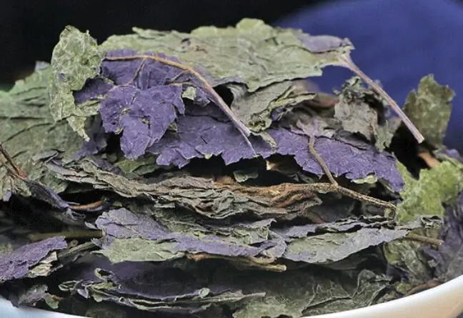Zi su ye natural dried purple leaves Folium Perillae for spice