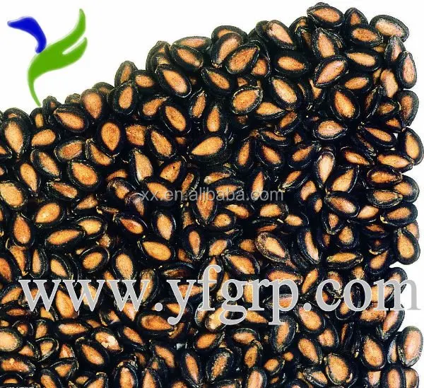 high quality 11cm black roasted salted watermelon seeds in shell