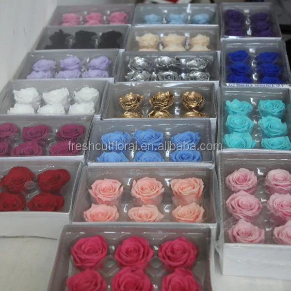 Various Hot Selling Preserved Rose Flower Multi-color Dried Rose Head Wholesale from Yunnan China