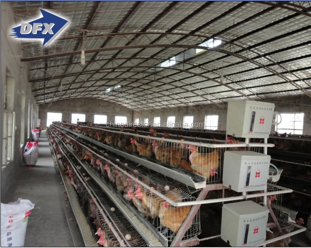 
Kenya Chicken Farm Hot Sale Poultry House Shed 