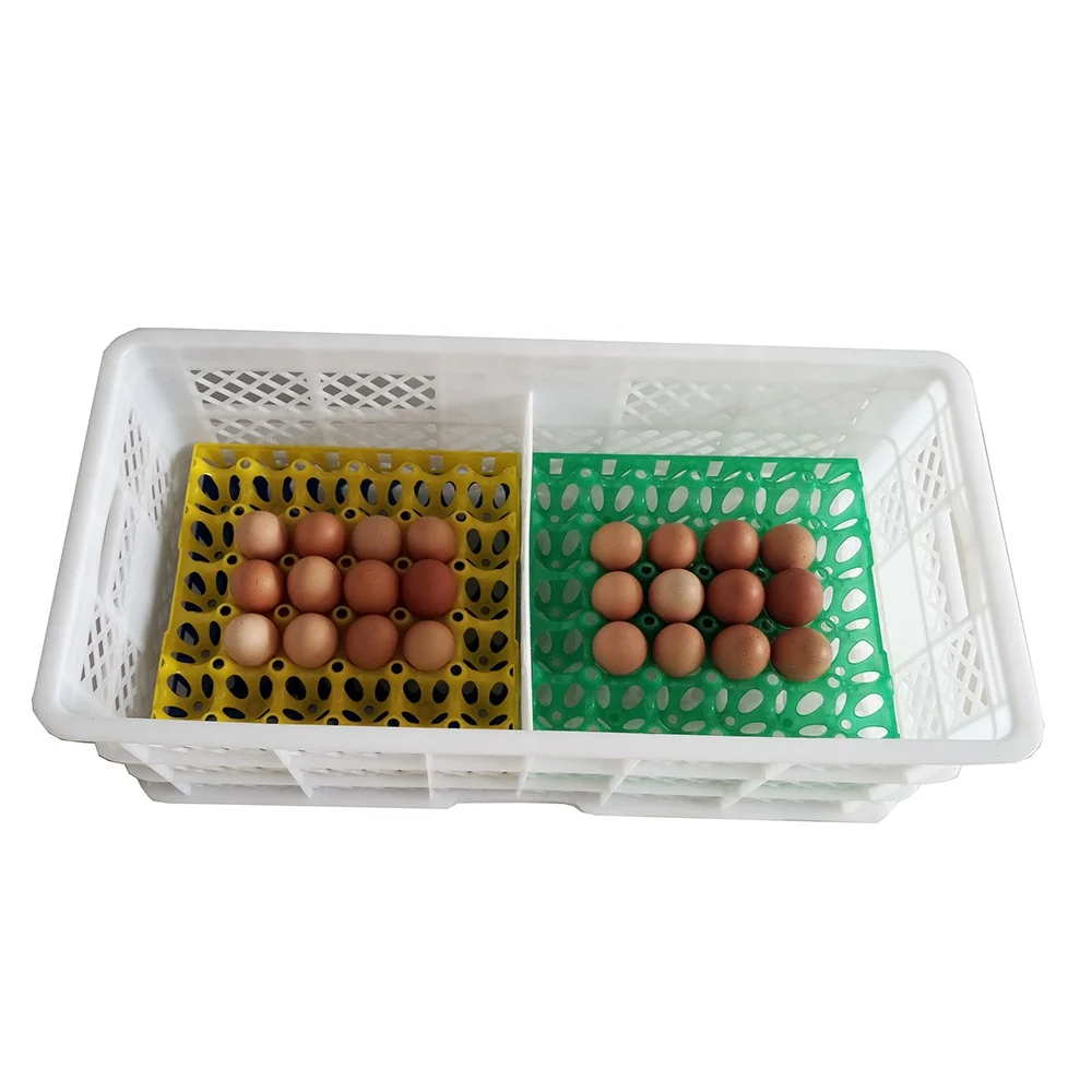 egg box plastic (4)