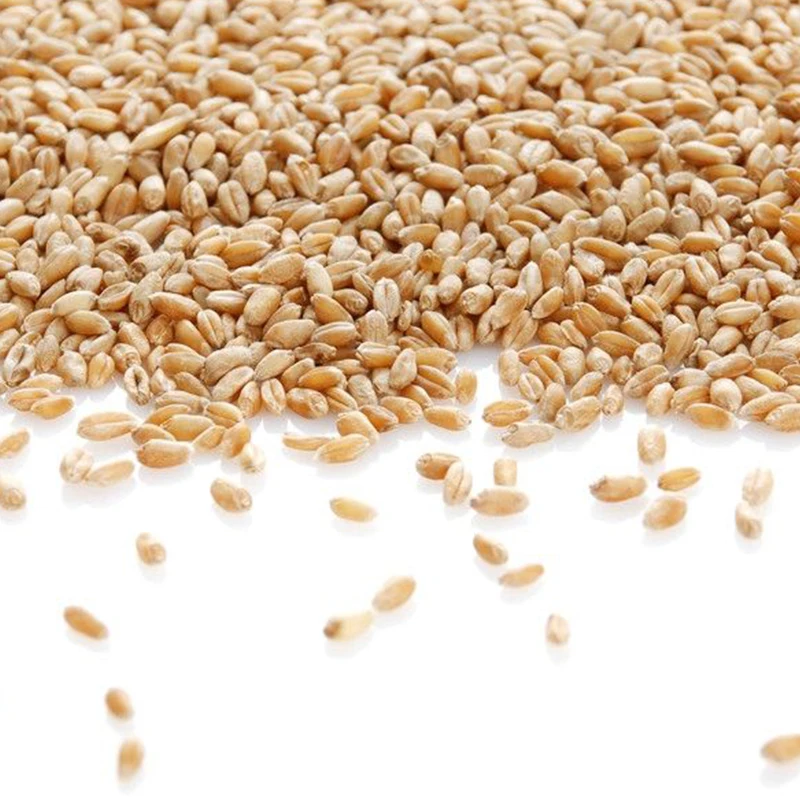 Complete rice milling plant  the price of rice planting machine kubota