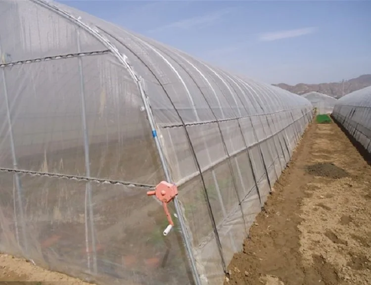 Plastic Film Greenhouse for Agriculture Multi-span Agricultural Greenhouses JY Good Price Plastic Hot Galvanized Steel Structure