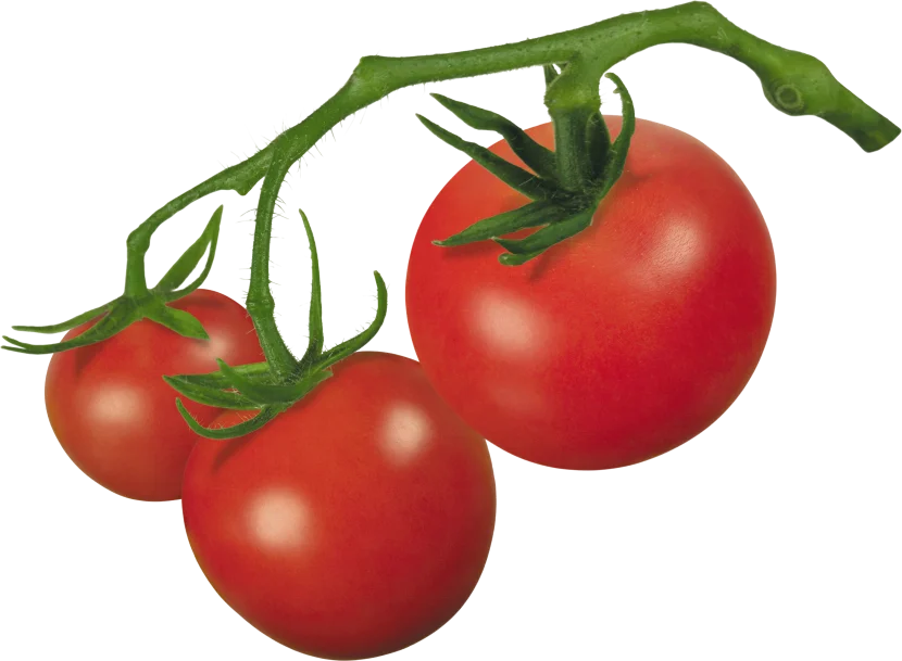 canned tomato paste brix 28/30 in drums from Xinjiag China