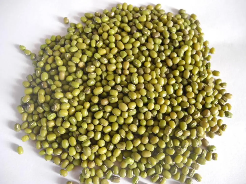 high quality Green Mung Beans/Vigna Beans
