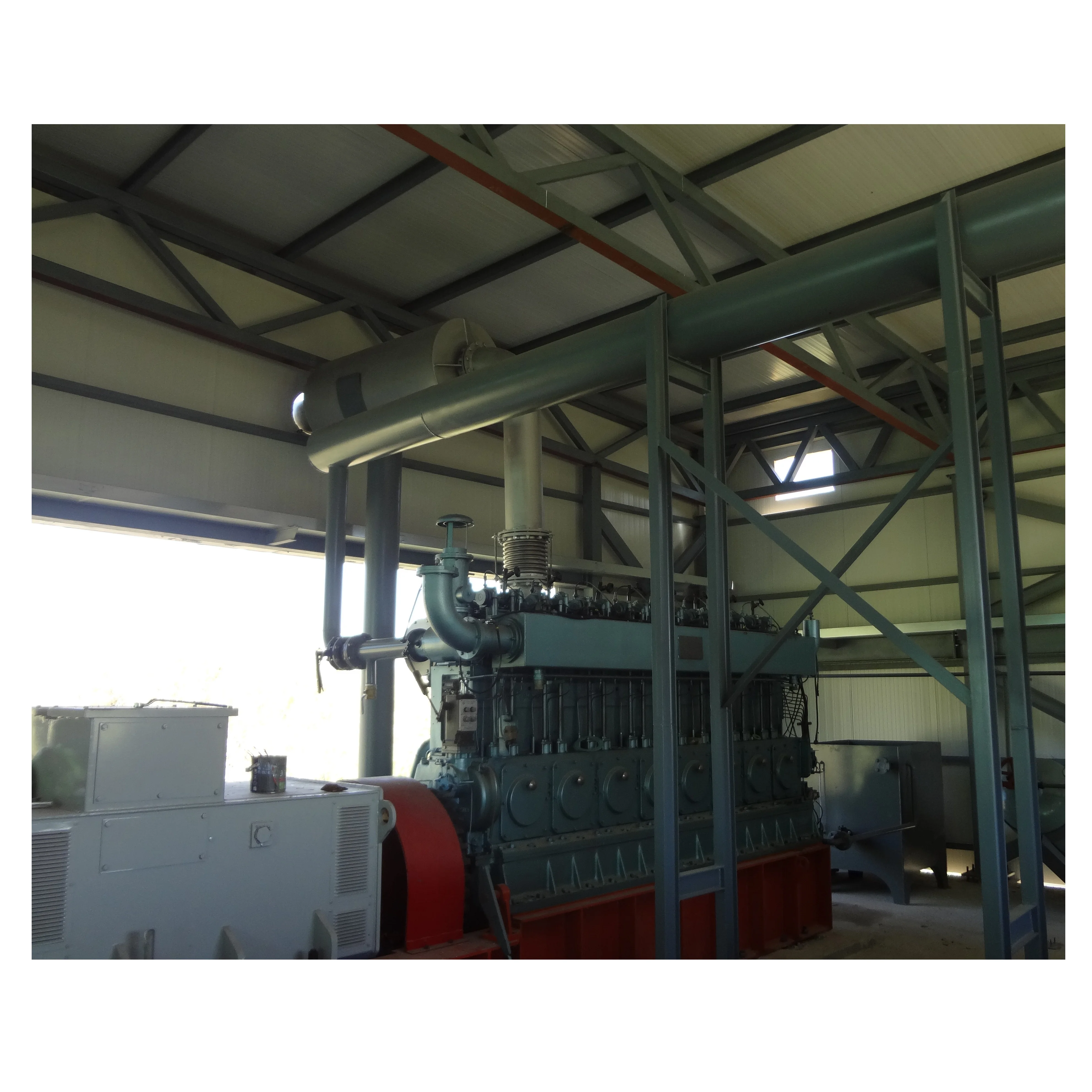 Poultry Waste Gasification Power Plant For Sale