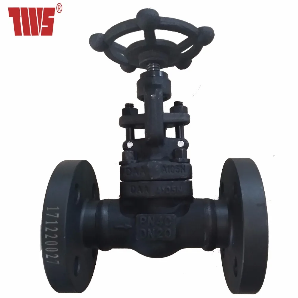 DN20 PN40 Steam Globe Valve with Price