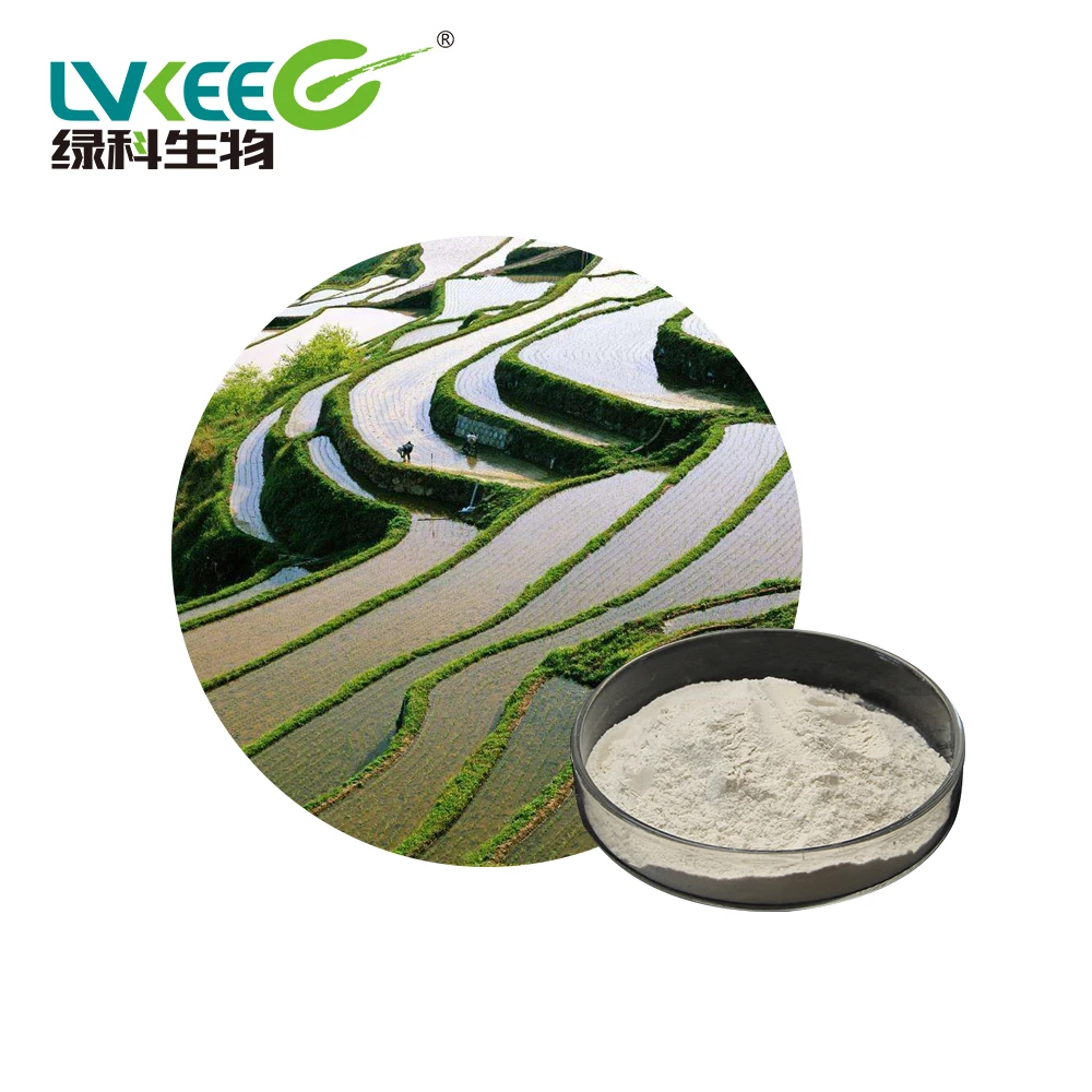 
Lvkee 100BL-200BL probiotics Fermentation fat powder Bacillus Subtilis for planting 