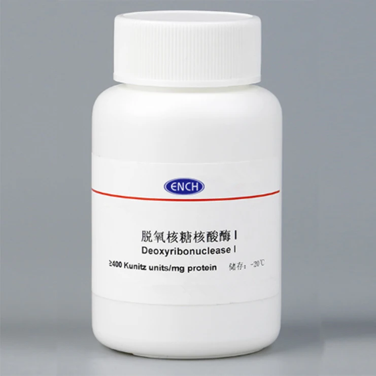 
Deoxyribonuclease / DNase I CAS 9003-98-9 High active 