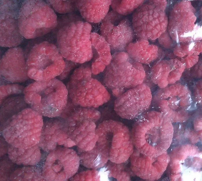 Wholesale Frozen/IQF Raspberry Whole 2021 New Crop, Chinese frozen fruits
