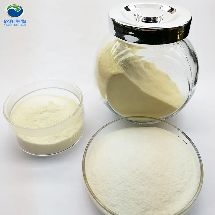 Vegan Algal DHA Powder for Supplementing PUFA Algae DHA Omega 3