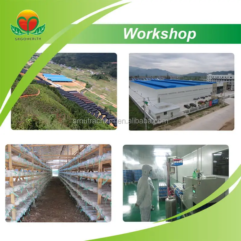 Сушеный агарикус блейсей муррилл по конкурентоспособной цене