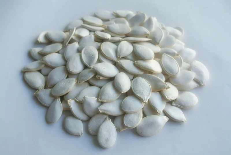 Best Raw Edible Snow White Pumpkin Seeds All Kinds Pumpkin Seeds Buyers