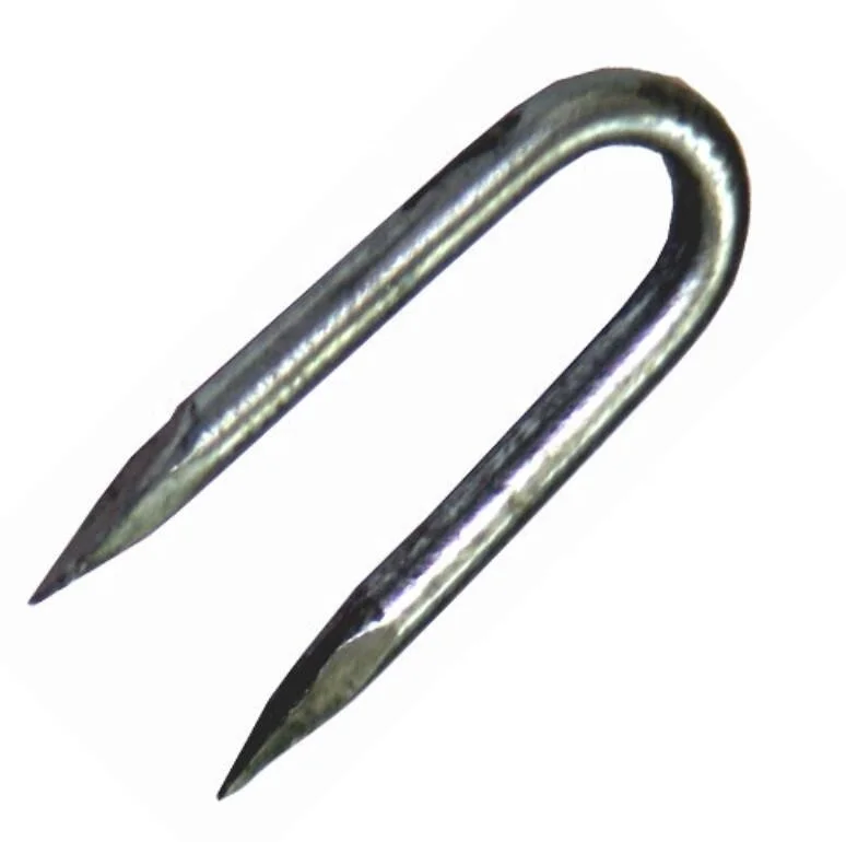 u nail ,u shape Fence Staple for attaching barbed wire to wooden fence posts