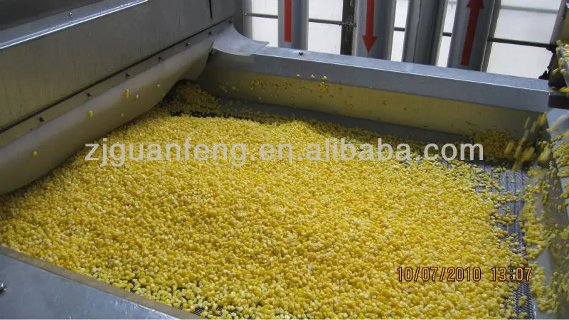 Automatic Sweet Corn Carrots Iqf Quick Freezing Machine Iqf Tunnel Frozen Peas Processing Plant