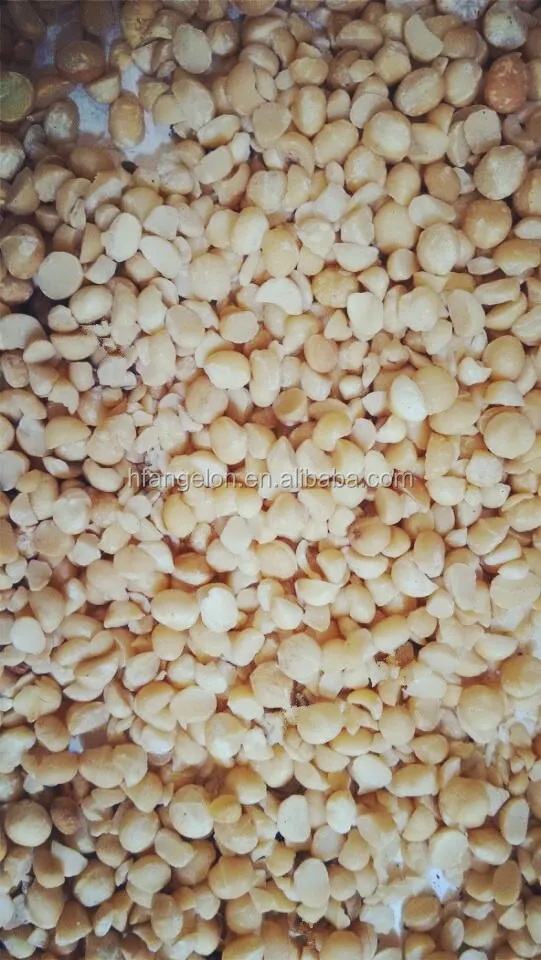 The new model macadamia nut optical  color sorter in china