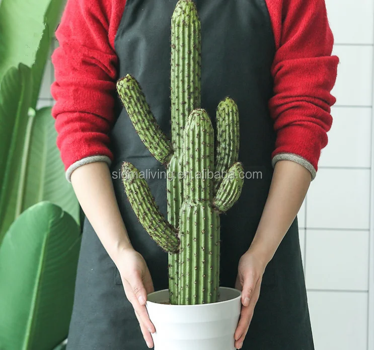 Green Artificial Cactus Succulent Plant