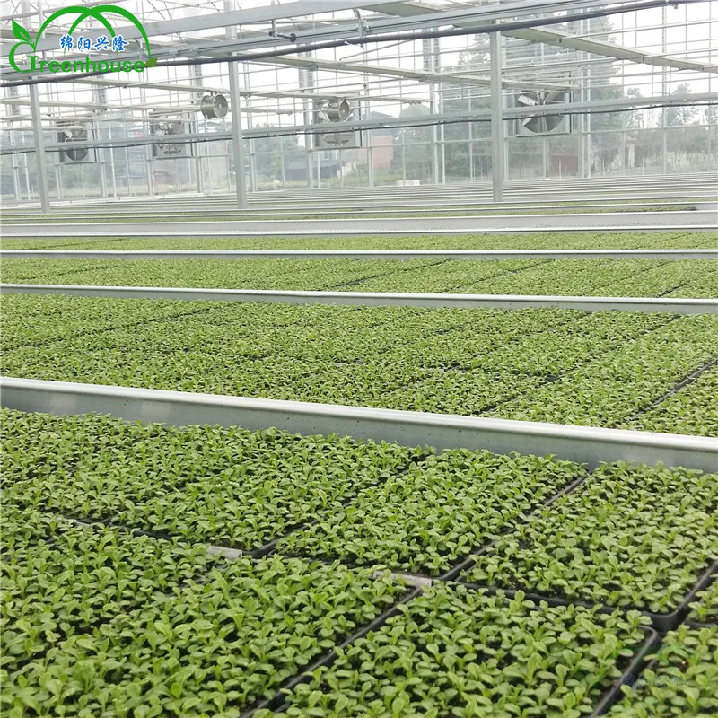 XL Multi-span Greenhouse With Hydroponic Growing Systems