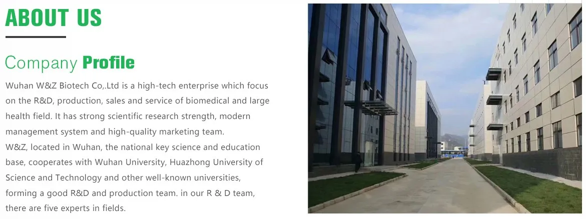 
Pharmaceutical Grade Streptavidin // rc-SA for research 