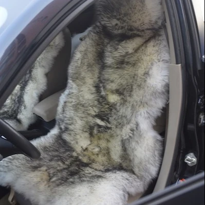 Grey Colour Premium Australian Sheep Skin Car Long Wool Front Single Seat Cover