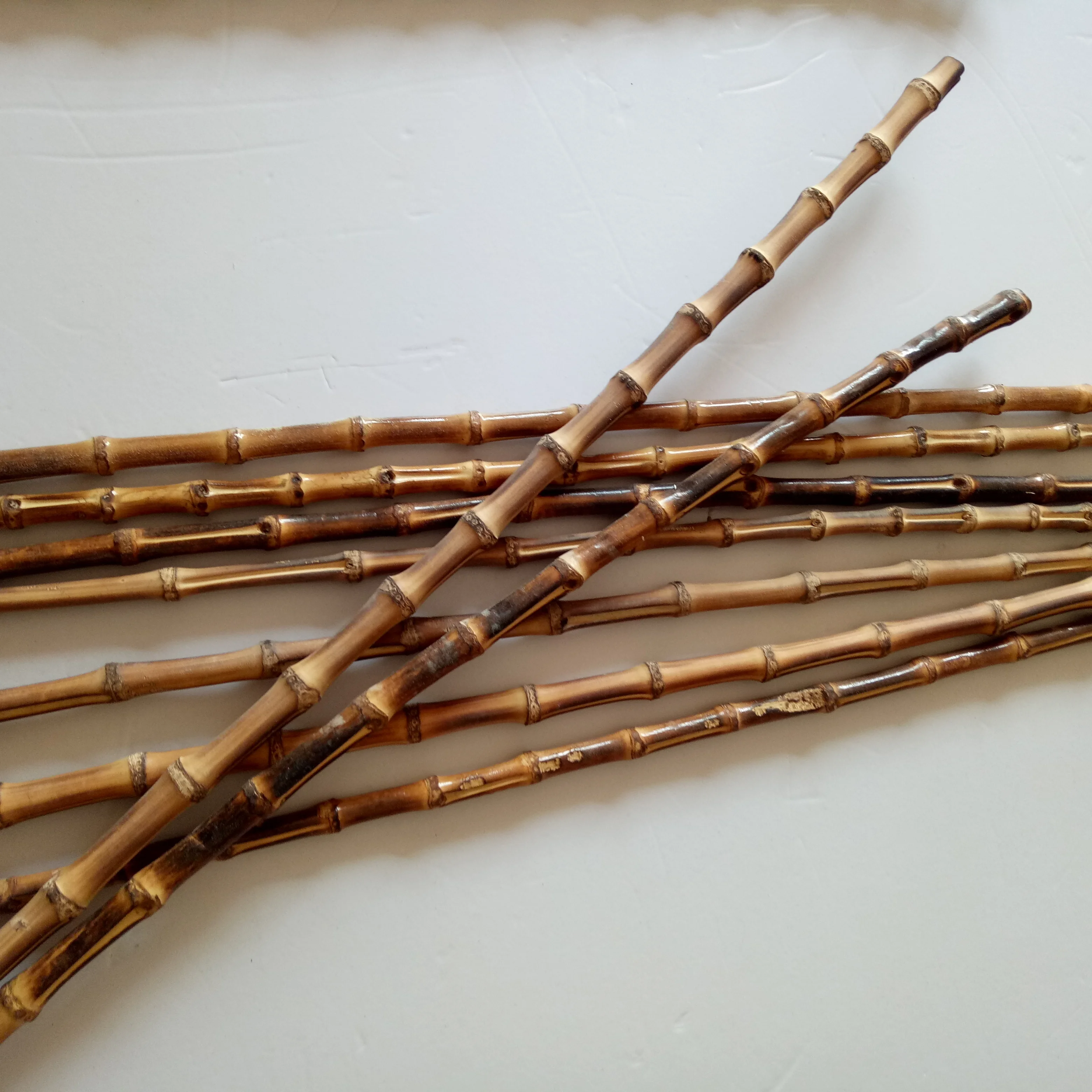 FD-171121natural bamboo root, bamboo root cane, bamboo rhizome for bag handle