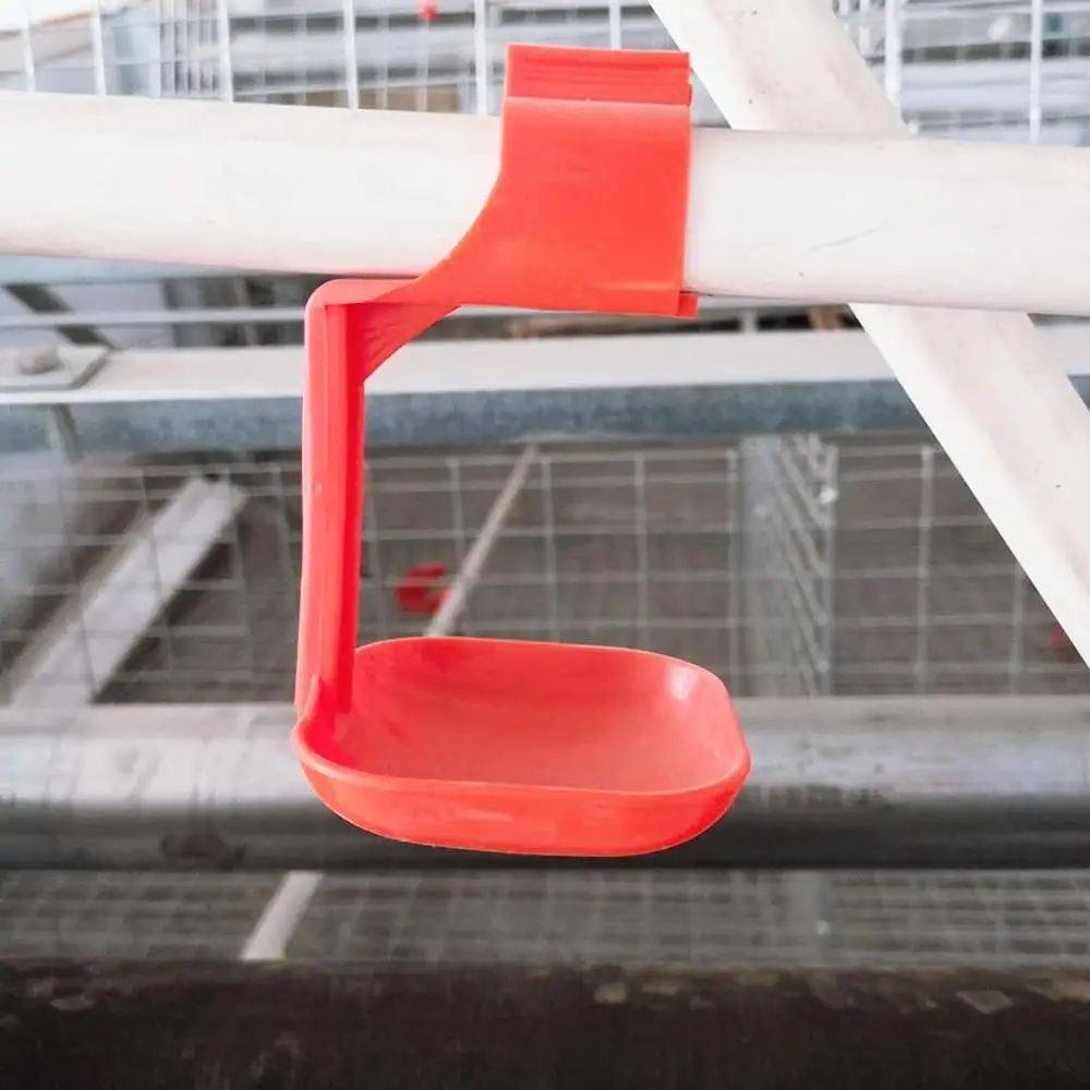 
Animal Husbandry Series Manure Cleaning System with Auto Nipple Drinker 