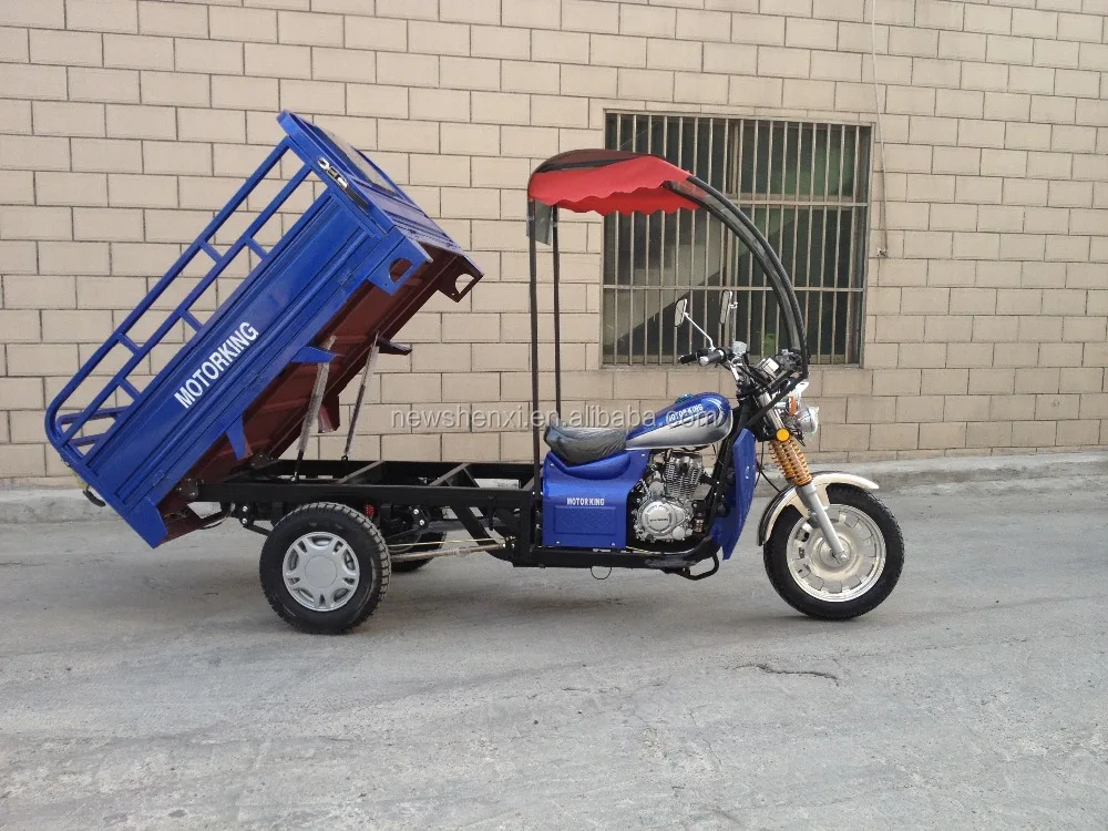 T-rex Trike Three Wheel Motorcycle with Closed Body Driving Sitting Place