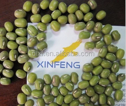 
Best Quality sprouting green mung bean from China mung bean protein 