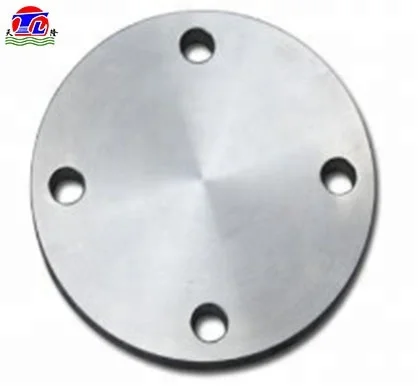 Standard JIS 20K SS316L forged Plate Flanges