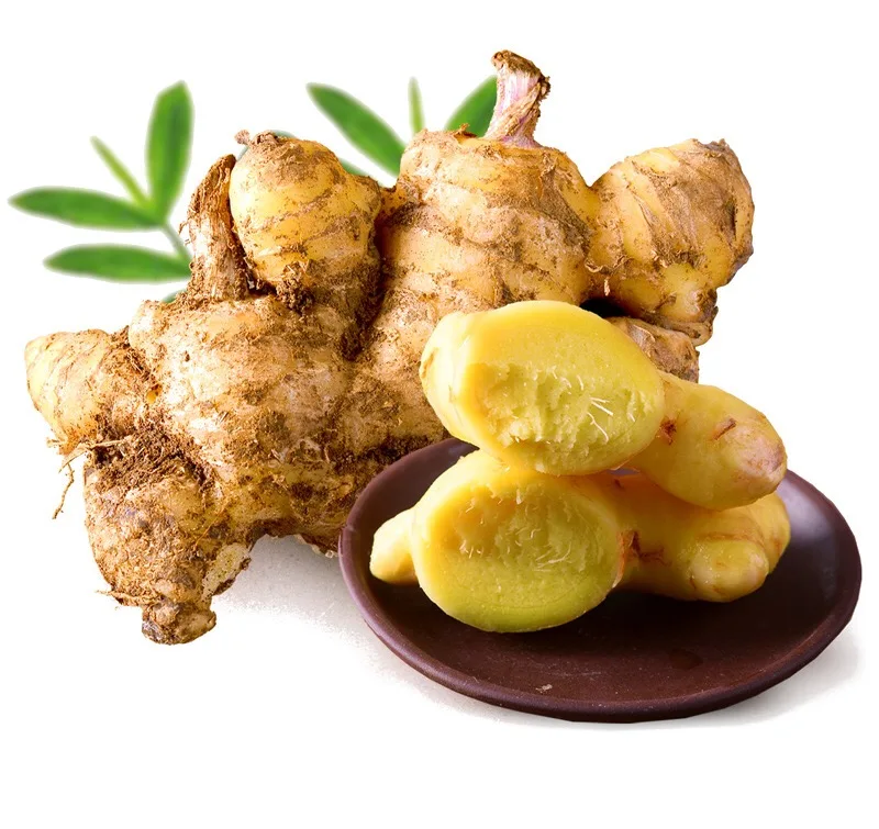 Massage oil relax muscles and activate collaterals Plant quintessence Regulate the skin Old Ginger Oil