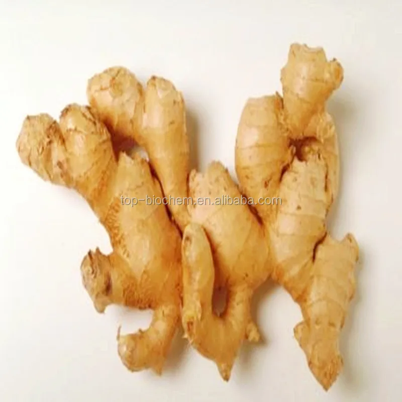 
Emeline 100% Natural Ginger Essential Oil dor sale 