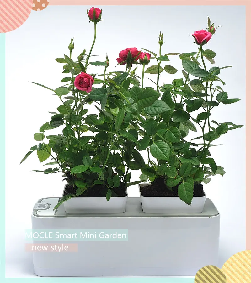 новый стиль пластик умный искусственный бонсай горшок