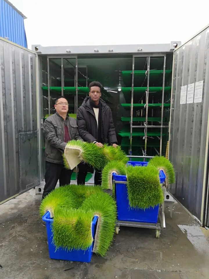 Container Type hydroponic barley fodder growing system/grass seeds planting machine for rabbit
