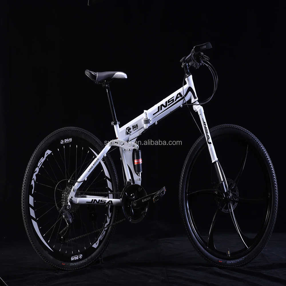 Easy to Carry Safety Foldable/folding Bike