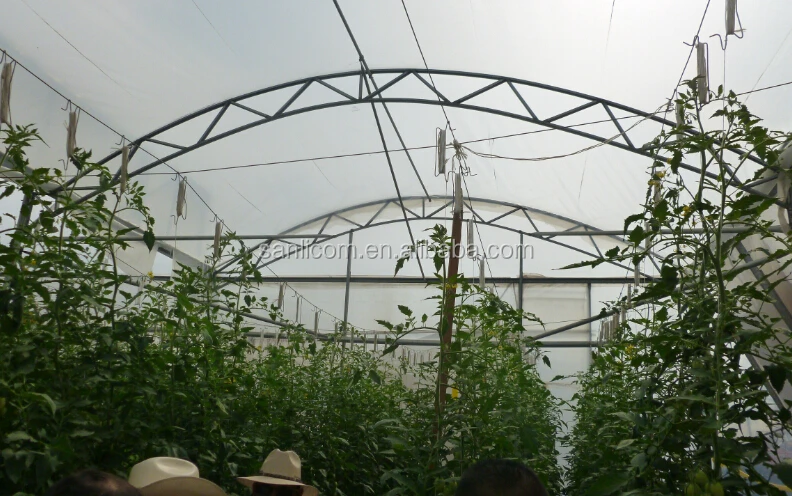 Hanging Hooks with PP Twine for Tomato