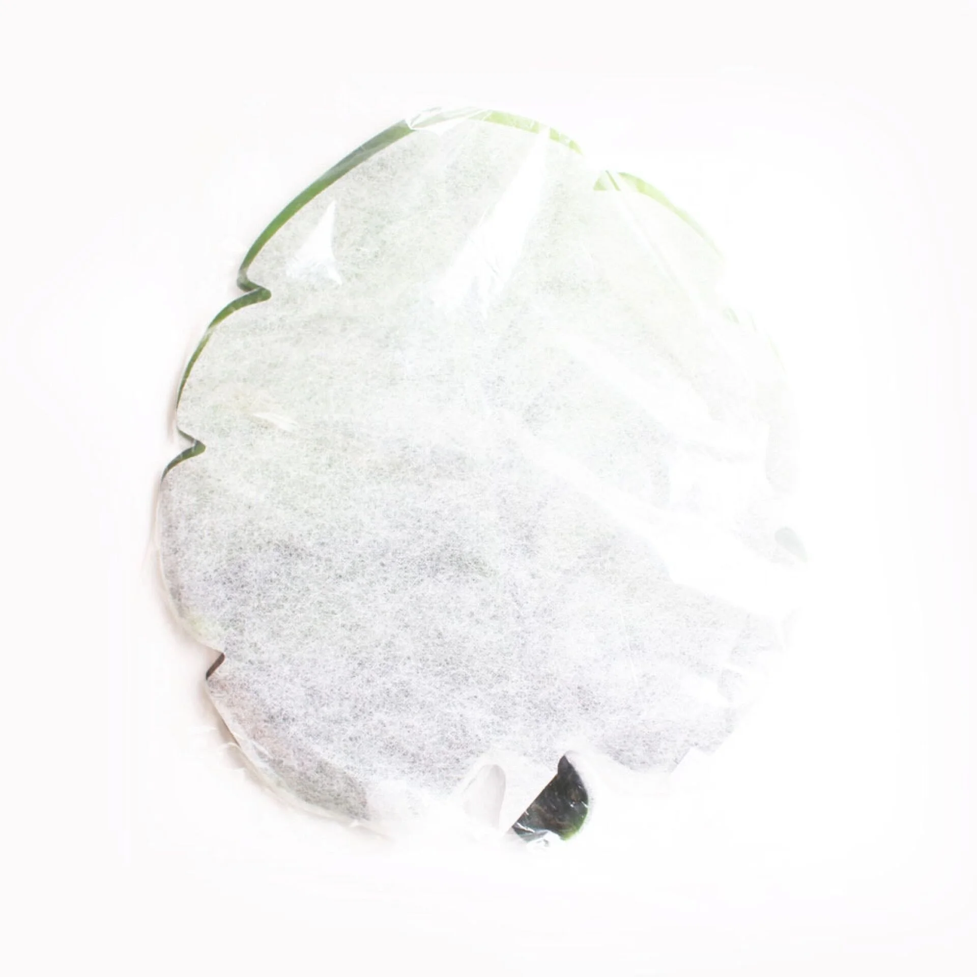 Hot selling new style wholesale artificial Plant Tropical Palm eva leaf placemat