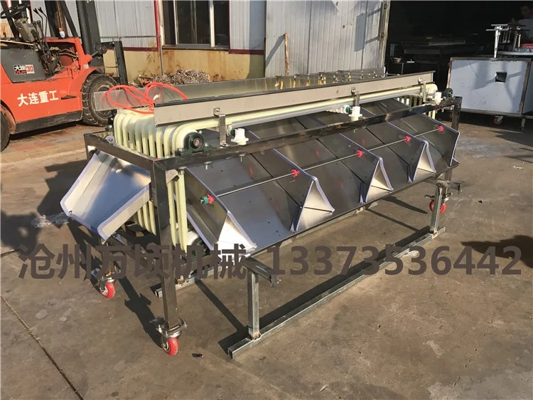 Grading machine used for medjool palm date jujube plums fruit sorting process fruit grading machine electronic