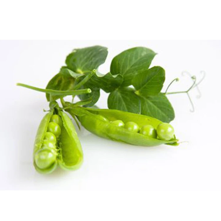 Non-GMO Bulk Wholesale Powder Isolate Pea Protein