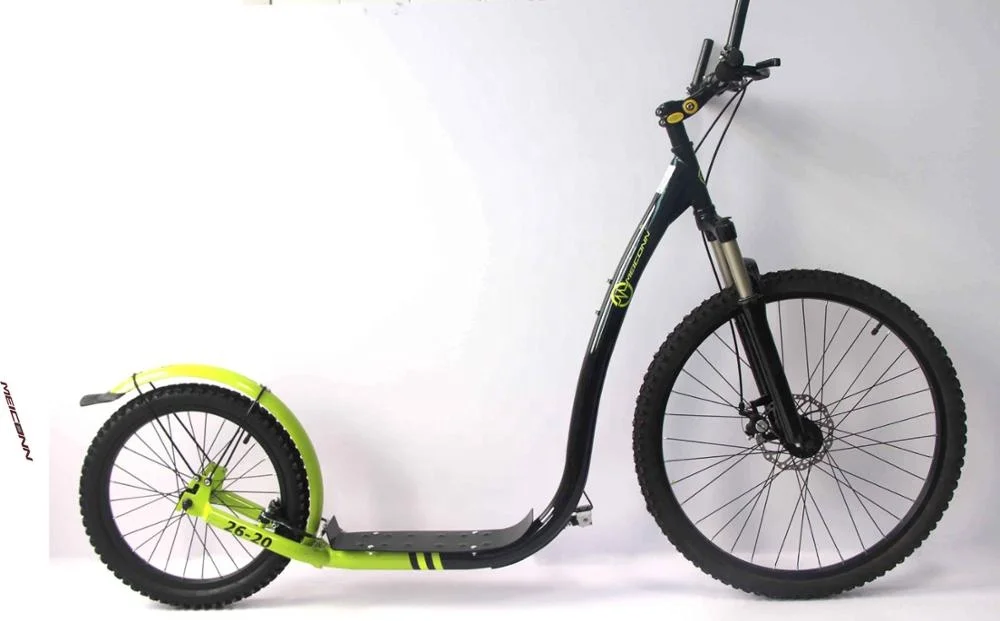 Fashionable Adult Kick Scooter/dog Scooter/ Street Footbike(SY-SC261801)