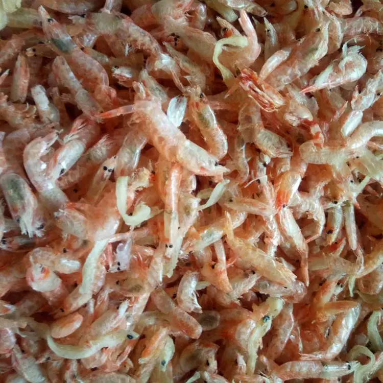 Сушеные креветки, сушеные личинки, корм для рыбы (60675894573)