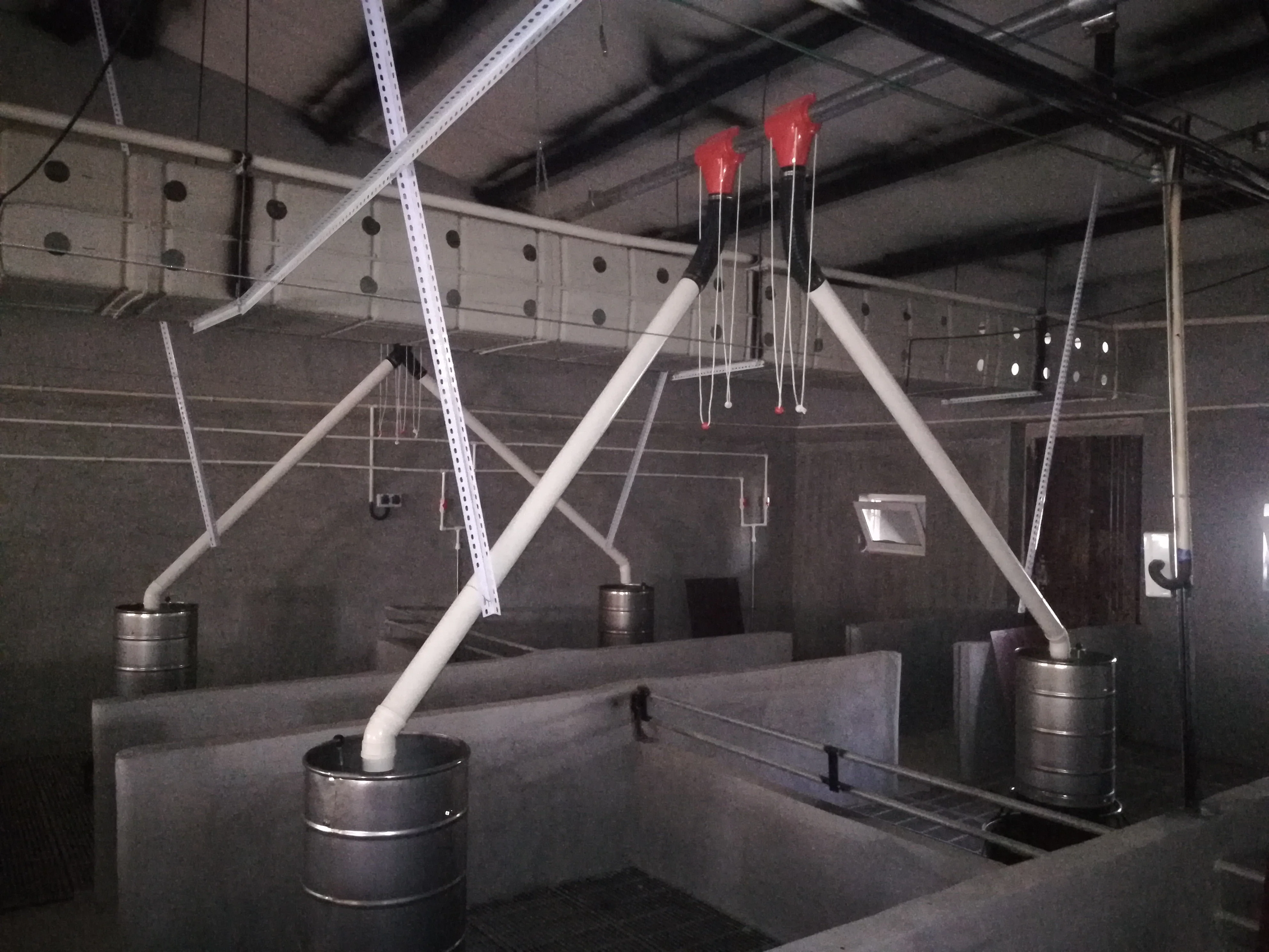 Goldenest pig chain feeding line/Pig rearing equipment
